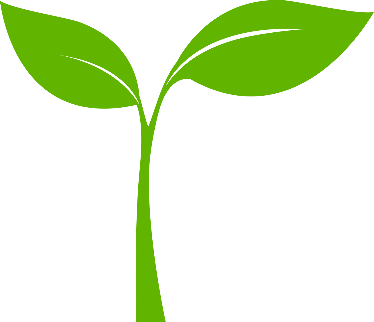 Small shoot green plant